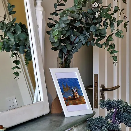 Soleado A Un Paseo De La Catedral