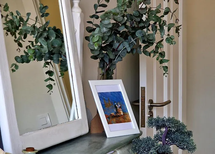 Soleado A Un Paseo De La Catedral